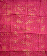 Applique Cotton Saree