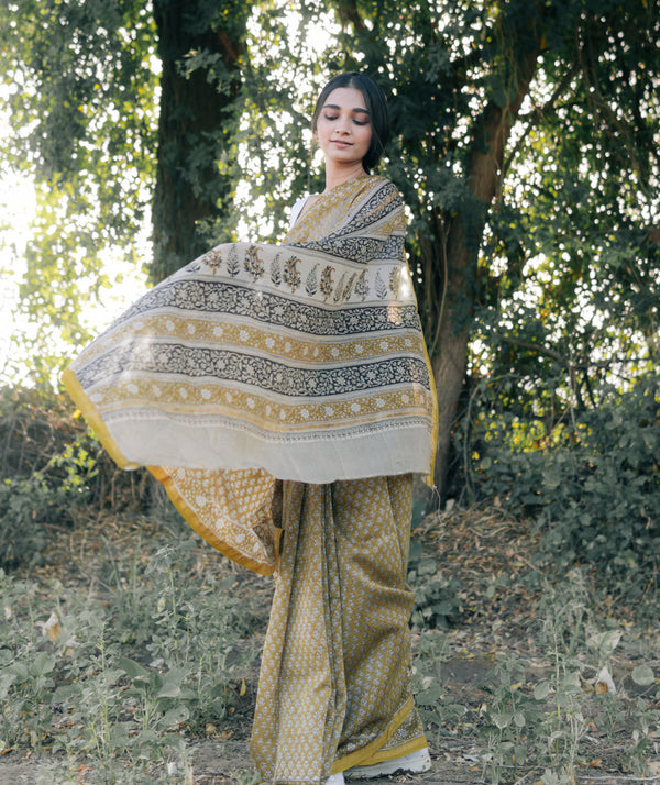 Bagru Handblock Printed saree