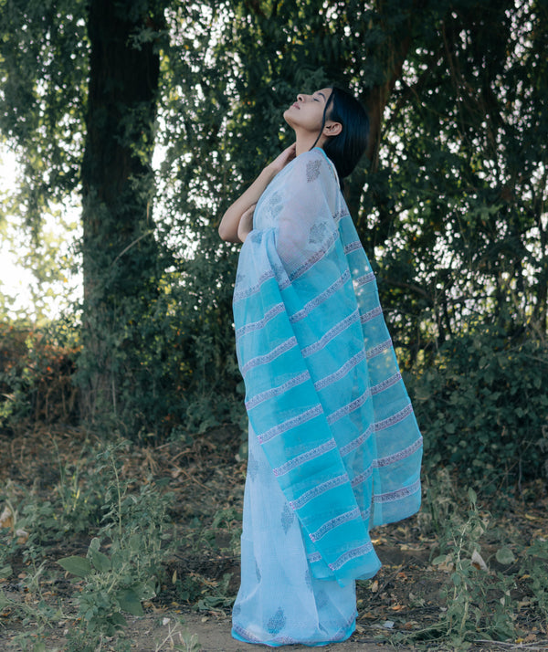Bagru Handblock Printed saree