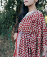 Bagru Handblock Printed saree