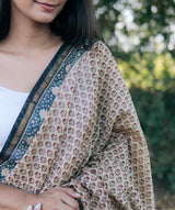 Bagru Handblock Printed saree