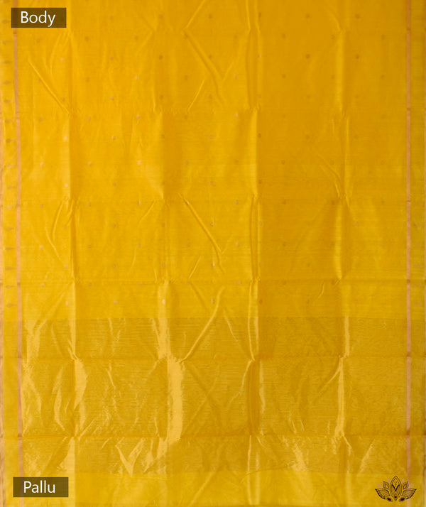 Chanderi Handwoven Saree