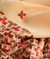 Phulkari Hand Embroidery Saree