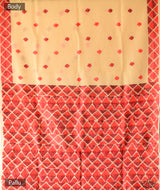 Phulkari Hand Embroidery Saree