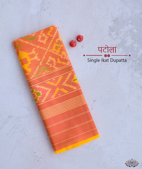 SINGLE IKAT PATOLA DUPATTA
