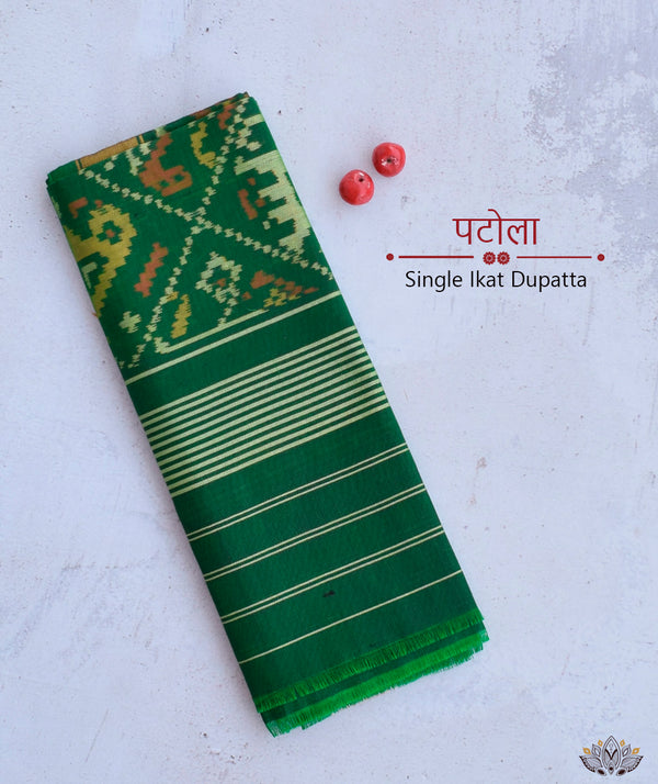 SINGLE IKAT PATOLA DUPATTA