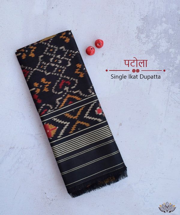 SINGLE IKAT PATOLA DUPATTA