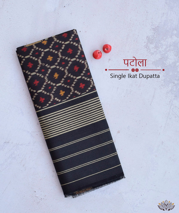 SINGLE IKAT PATOLA DUPATTA