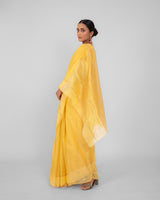 Chanderi Handwoven Saree