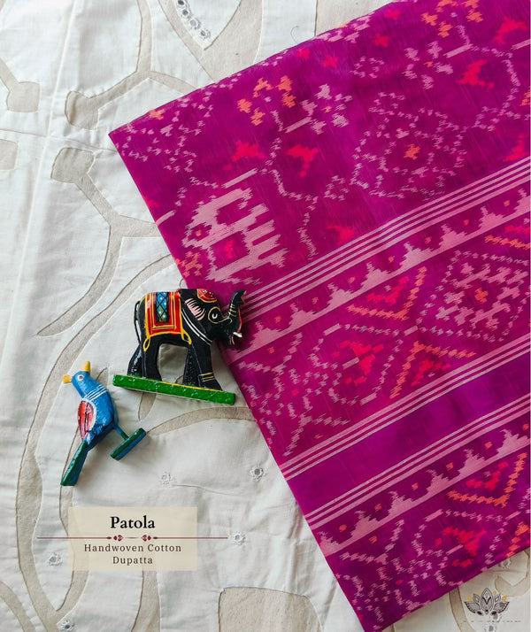 SINGLE IKAT COTTON PATOLA DUPATTA