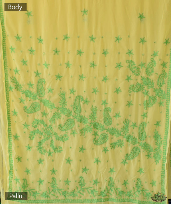 Chikankari Hand Embroidered Saree