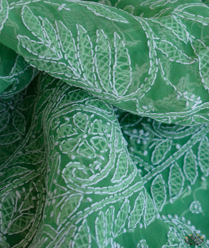 Chikankari Hand Embroidered Saree