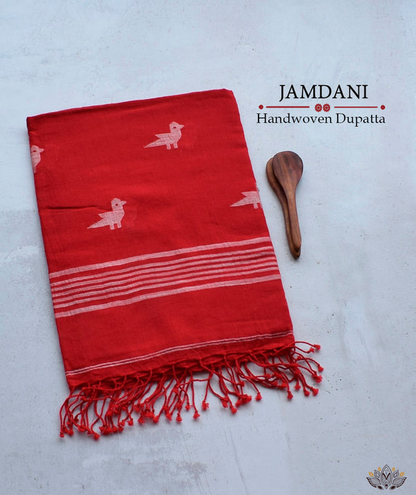 JAMDANI COTTON HANDMADE DUPATTA