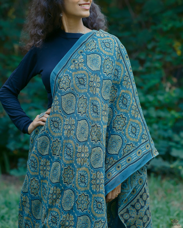 Ajrakh Linen hand block printed saree