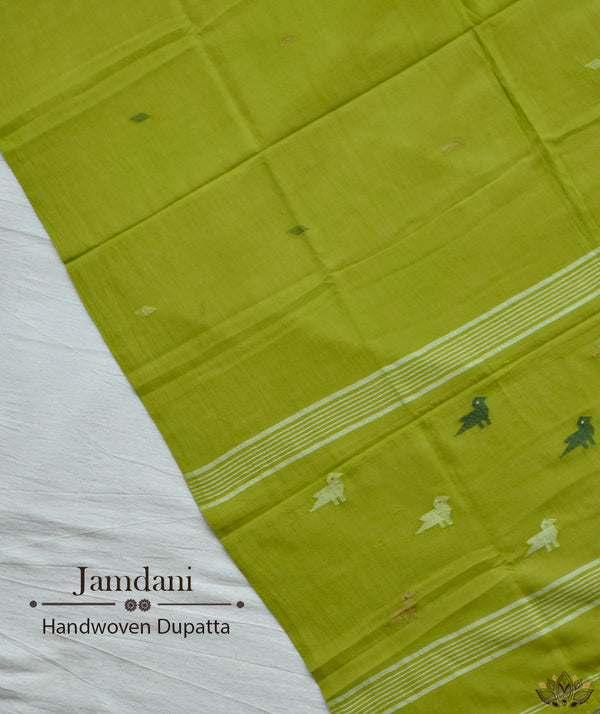 JAMDANI COTTON HANDMADE DUPATTA