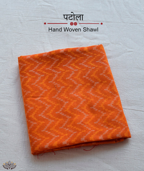 SINGLE IKAT PATOLA SHAWL
