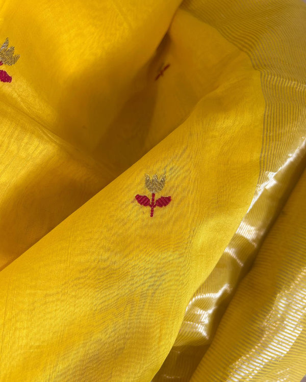 Chanderi Handwoven Saree