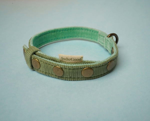 IndieGood Coral Collar For Cats -  Aqua Green