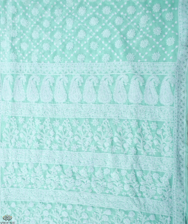 Chikankari Hand Embroidered Saree