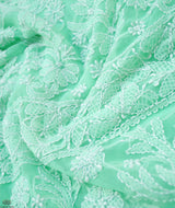 Chikankari Hand Embroidered Saree