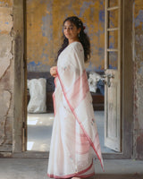 EXCLUSIVE JAMDANI COTTON HANDWOVEN SAREE