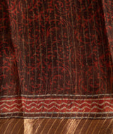 Bagru tussar silk saree