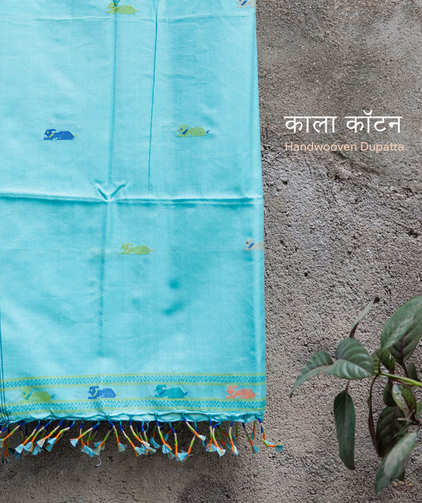 KACCHI KALA COTTON HANDWOVEN DUPATTA