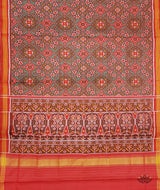 Patola Semi Double Ikat Sarees