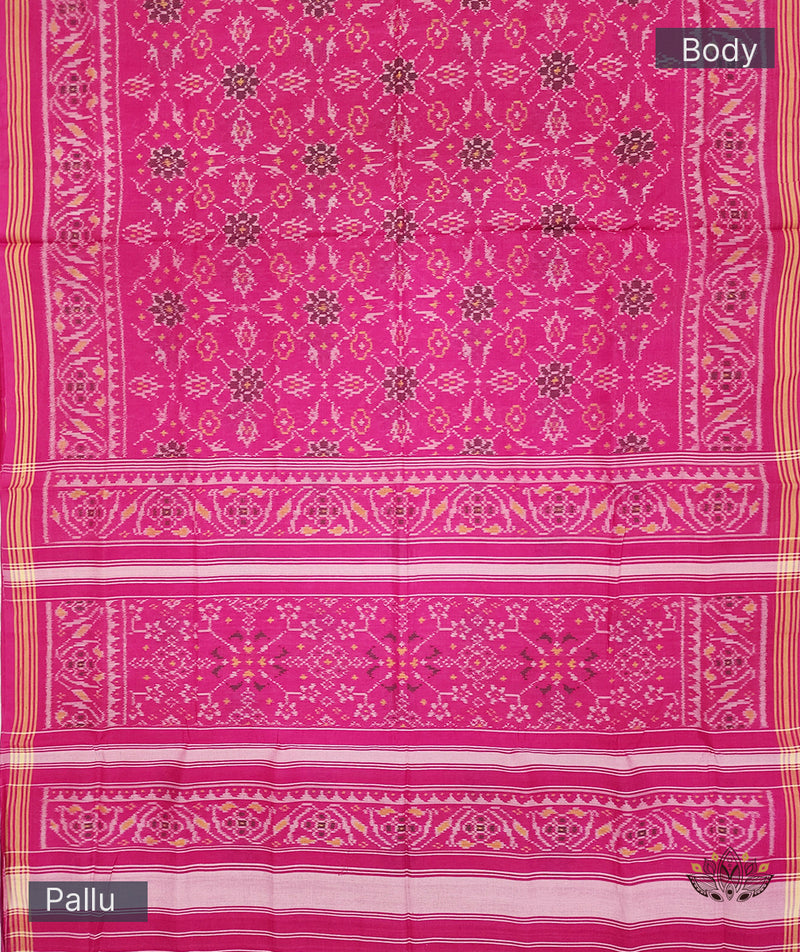 Cotton Single Ikat Patola Saree