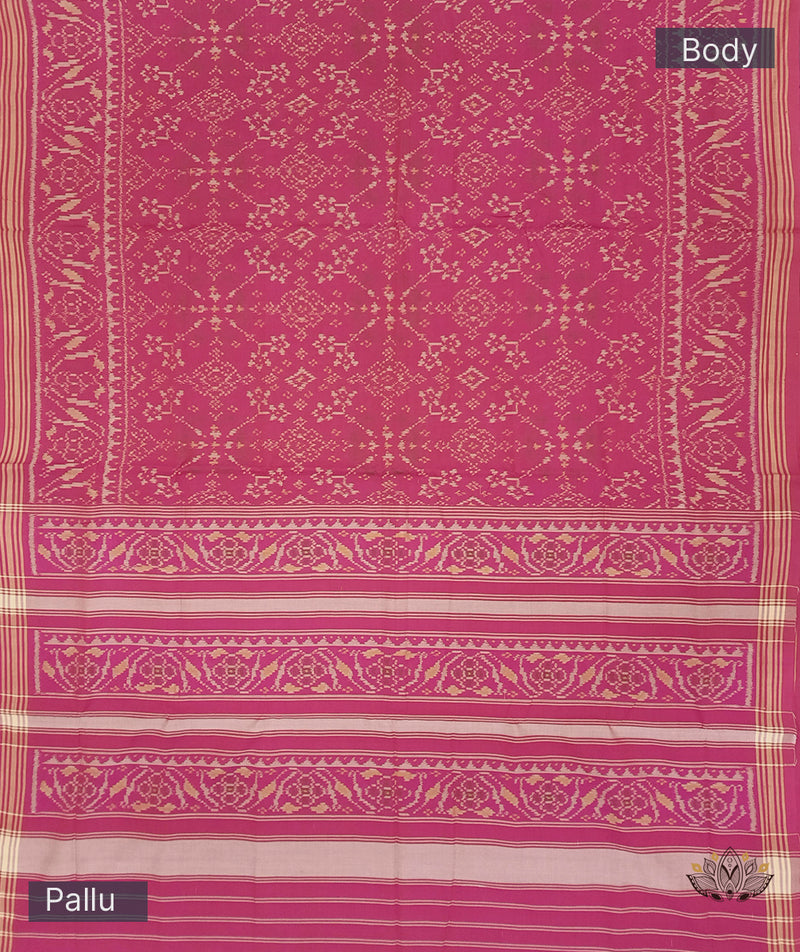 Cotton Single Ikat Patola Saree