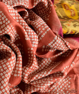 Single Ikat Patola Saree