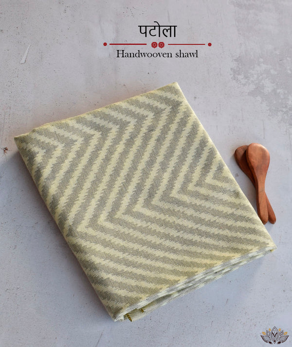 SINGLE IKAT PATOLA SHAWL